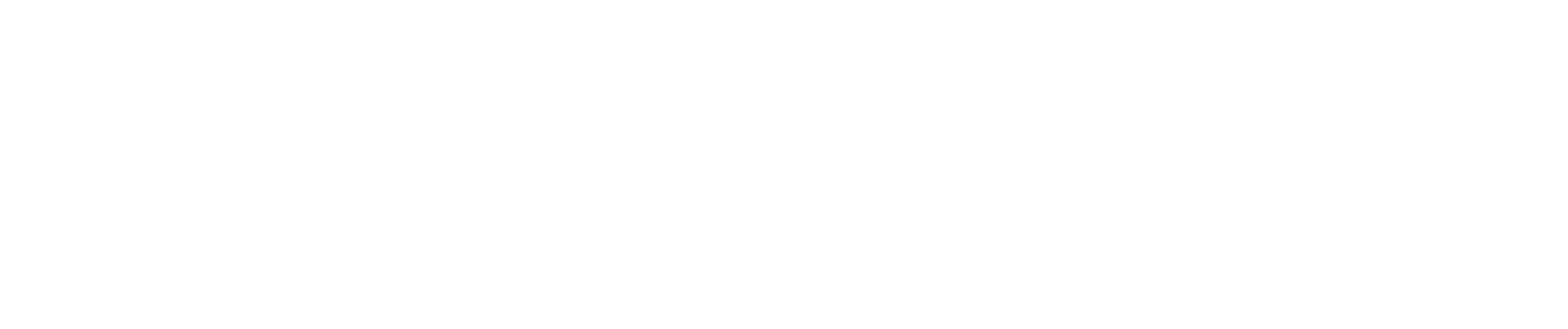 nudaco Logo